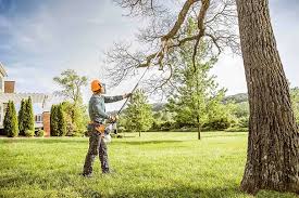 Why Choose Our Tree Removal Services in Reedsport, OR?