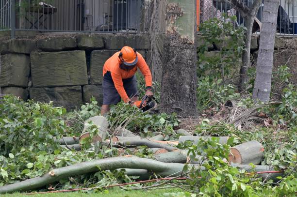 Reedsport, OR Tree Services Company